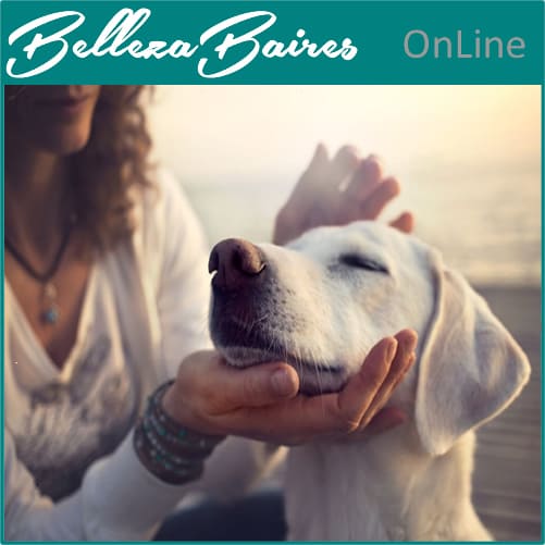 Curso Online de Reiki Animal Ascensión Nivel 1 y Maestría (CON REQUISITOS)